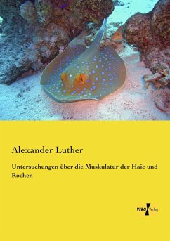 Untersuchungen über die Muskulatur der Haie und Rochen - Luther, Alexander