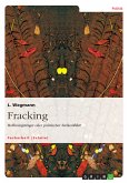 Fracking. Hoffnungsträger oder politischer Zielkonflikt? (eBook, PDF)