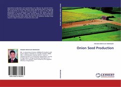 Onion Seed Production