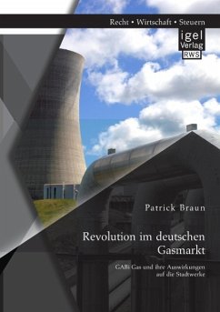 Revolution im deutschen Gasmarkt: GABi Gas und ihre Auswirkungen auf die Stadtwerke - Braun, Patrick