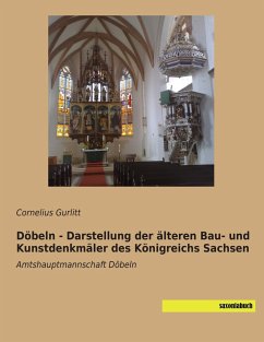 Döbeln - Darstellung der älteren Bau- und Kunstdenkmäler des Königreichs Sachsen - Gurlitt, Cornelius