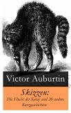 Skizzen: Die Flucht der Katze und 20 andere Kurzgeschichten (eBook, ePUB)