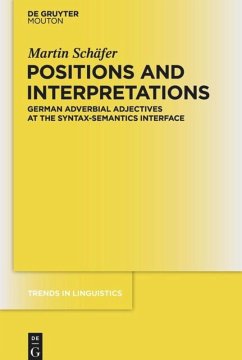 Positions and Interpretations - Schäfer, Martin