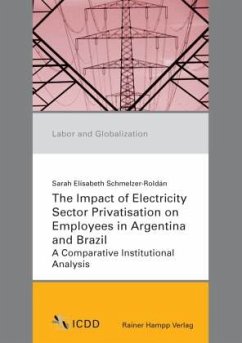 Cover The Impact of Electricity Sector Privatisation on Employees in Argentina and Brazil
