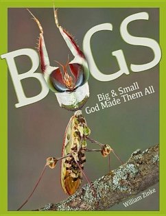 Bugs Big & Small - Zinke, William