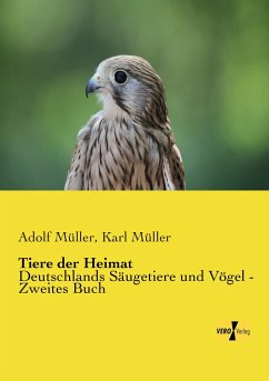 Tiere der Heimat - Müller, Adolf;Müller, Karl