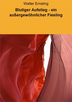 Blutiger Aufstieg - ein außergewöhnlicher Fiesling (eBook, ePUB) - Ernsting, Walter