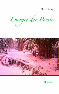 Energie der Poesie (eBook, ePUB)