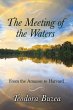 The Meeting of the Waters - Bild 1