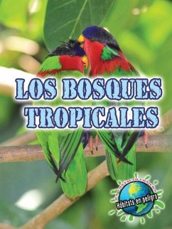 Los Bosques Tropicales - Mckenzie