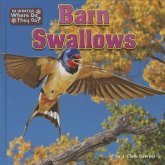 Barn Swallows Barn Swallows