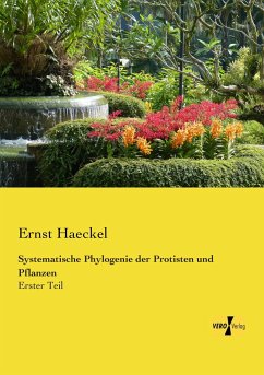 Systematische Phylogenie der Protisten und Pflanzen - Haeckel, Ernst