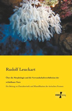 Über die Morphologie und die Verwandschaftsverhältnisse der wirbellosen Tiere - Leuckart, Rudolf