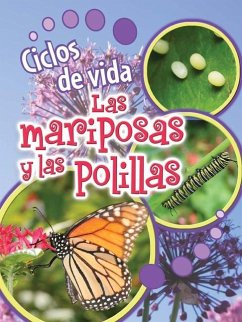 Ciclos de Vida de Las Mariposas Y Las Polillas - Lundgren