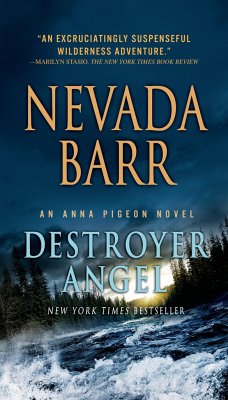 Destroyer Angel - Barr, Nevada