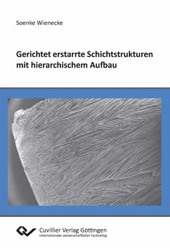 Gerichtet erstarrte Schichtstrukturen mit hierarchischem Aufbau - Wienecke, Soenke