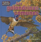 Las Golondrinas Comunes (Barn Swallows)