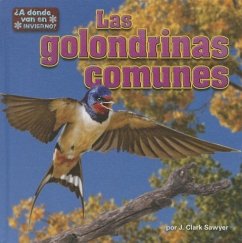 Las Golondrinas Comunes (Barn Swallows) - Sawyer, J. Clark