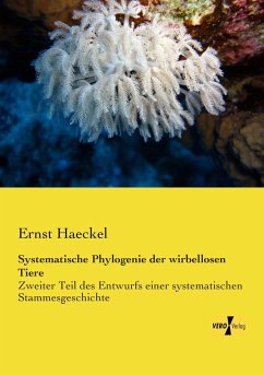 Systematische Phylogenie der wirbellosen Tiere - Haeckel, Ernst