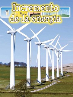 Cover Incremento de la Energía