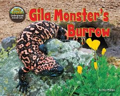 Gila Monster's Burrow - Phillips, Dee