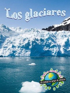 Los Glaciares - Mckenzie
