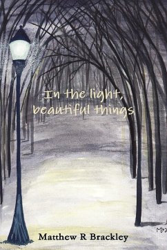 In the light,beautiful things - Brackley, Matthew R