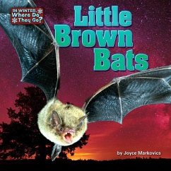 Little Brown Bats - Markovics, Joyce