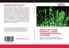 Fibras de cristal fotónico y guías integradas escritas con láser - Berdejo Arceiz, Víctor;Vallés, Juan A.;Rebolledo, Miguel A.