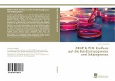 DEHP & PCB: Einfluss auf die Kardiomyogenese und Adipogenese