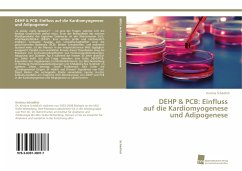 DEHP & PCB: Einfluss auf die Kardiomyogenese und Adipogenese - Schädlich, Kristina