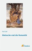 Nietzsche und die Romantik