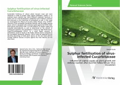 Sulphur fertilisation of virus-infected Cucurbitaceae