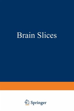 Brain Slices