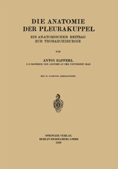 Die Anatomie der Pleurakuppel