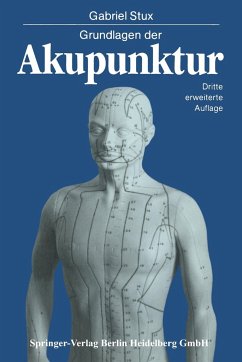 Grundlagen der Akupunktur - Stux, Gabriel
