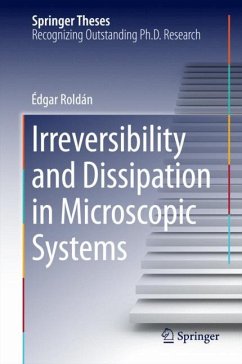 Irreversibility and Dissipation in Microscopic Systems - Roldán, Edgar