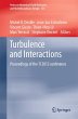 Turbulence and Interactions - Bild 1