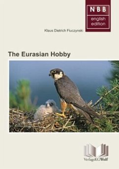 The Eurasian Hobby - Fiuczynski, Dietrich