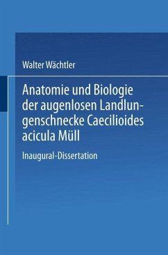 Anatomie und Biologie der augenlosen Landlungenschnecke Caecilioides acicula Müll - Wächtler, Walter