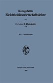Kurzgefaßte Elektrizitätswirtschaftslehre Kurzgefaßte Elektrizitätswirtschaftslehre
