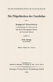 Die Flügeldecken der Carabidae