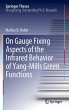 On Gauge Fixing Aspects of the Infrared... - Bild 1