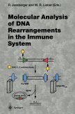 Molecular Analysis of DNA Rearrangements in the Immune System