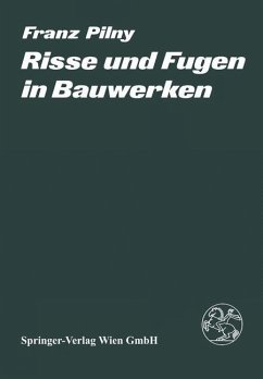 Risse und Fugen in Bauwerken - Pilny, F.