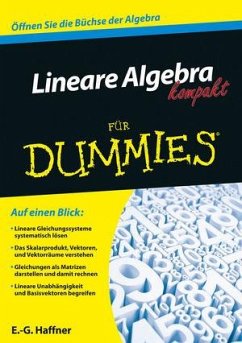 Lineare Algebra kompakt für Dummies - Haffner, E.-G.