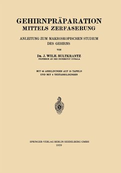 Gehirnpräparation Mittels Zerfaserung - Hultkrantz, Johan Wilh