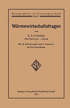 Wärmewirtschaftsfragen - Litinsky, Leonid