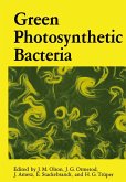 Green Photosynthetic Bacteria Green Photosynthetic Bacteria