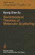 Semiclassical Theories of Molecular... - Bild 1